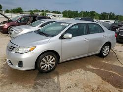 Salvage cars for sale from Copart Louisville, KY: 2013 Toyota Corolla Base