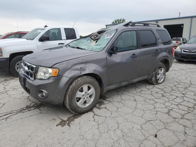 2010 Ford Escape XLT