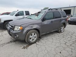 Salvage cars for sale at Kansas City, KS auction: 2010 Ford Escape XLT