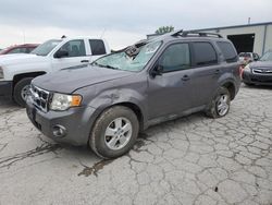 2010 Ford Escape XLT for sale in Kansas City, KS