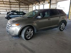 Salvage cars for sale at auction: 2014 Ford Edge Limited