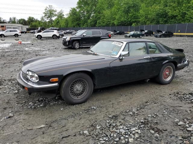 1989 Jaguar XJS Collection Rouge