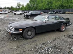 Salvage cars for sale at Waldorf, MD auction: 1989 Jaguar XJS Collection Rouge