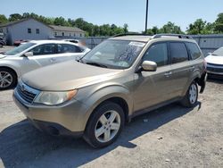 Salvage cars for sale at York Haven, PA auction: 2009 Subaru Forester 2.5X Premium