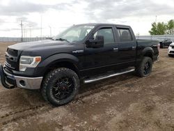 Salvage cars for sale from Copart Greenwood, NE: 2014 Ford F150 Supercrew