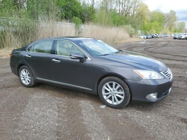 2010 Lexus ES 350