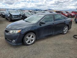 Salvage cars for sale at Helena, MT auction: 2014 Toyota Camry L