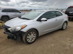 Salvage cars for sale at Brighton, CO auction: 2015 KIA Forte EX