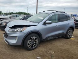 Salvage cars for sale at Woodhaven, MI auction: 2022 Ford Escape SEL