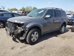Salvage cars for sale from Copart Glassboro, NJ: 2010 Ford Escape XLT