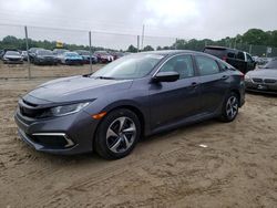 Honda Civic lx salvage cars for sale: 2019 Honda Civic LX