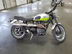 Salvage motorcycles for sale at Ham Lake, MN auction: 2008 Triumph Scrambler