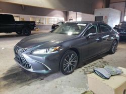 Lexus salvage cars for sale: 2023 Lexus ES 350 Base