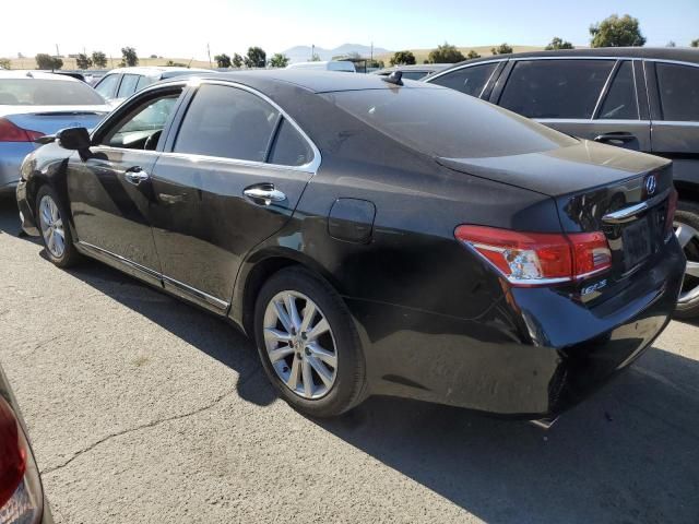 2010 Lexus ES 350