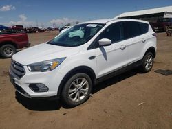 Salvage cars for sale from Copart Brighton, CO: 2017 Ford Escape SE