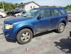 Salvage cars for sale at York Haven, PA auction: 2008 Ford Escape XLS