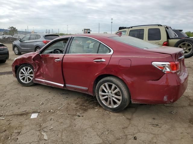 2010 Lexus ES 350