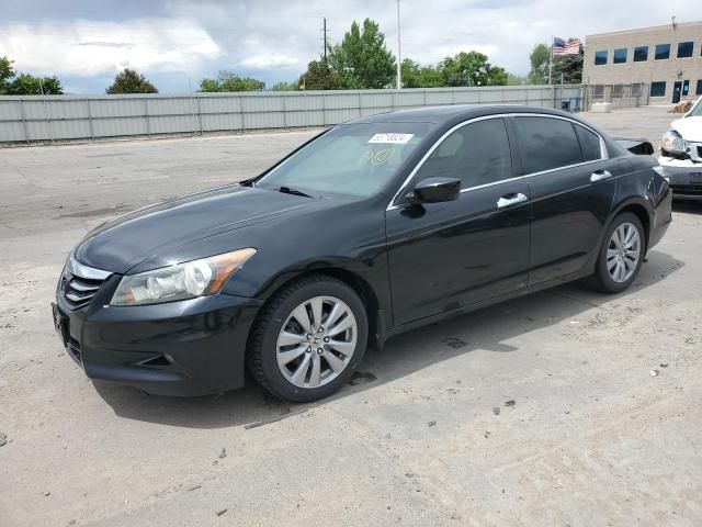 2011 Honda Accord EXL