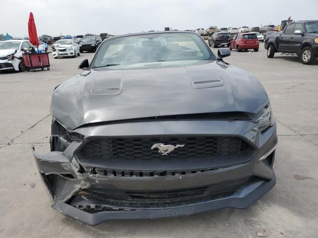 2019 Ford Mustang