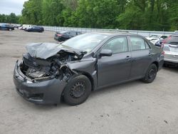 Salvage cars for sale at Glassboro, NJ auction: 2010 Toyota Corolla Base