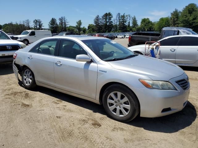 2009 Toyota Camry Hybrid