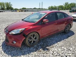 Ford salvage cars for sale: 2014 Ford Focus SE