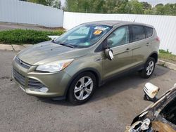 Salvage SUVs for sale at auction: 2013 Ford Escape SE