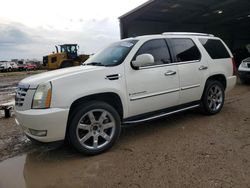 Salvage cars for sale from Copart Houston, TX: 2007 Cadillac Escalade Luxury