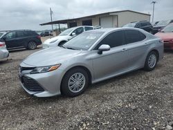 Toyota Camry le salvage cars for sale: 2019 Toyota Camry LE