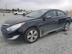 Salvage cars for sale at Mentone, CA auction: 2012 Hyundai Sonata Hybrid