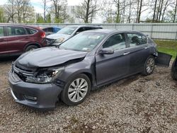 Salvage cars for sale from Copart Central Square, NY: 2013 Honda Accord EXL