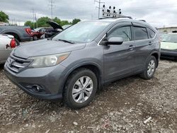 Salvage cars for sale at Columbus, OH auction: 2013 Honda CR-V EXL