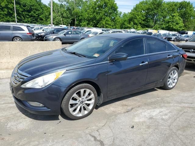 2013 Hyundai Sonata SE