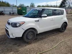 Salvage cars for sale at Bowmanville, ON auction: 2019 KIA Soul +