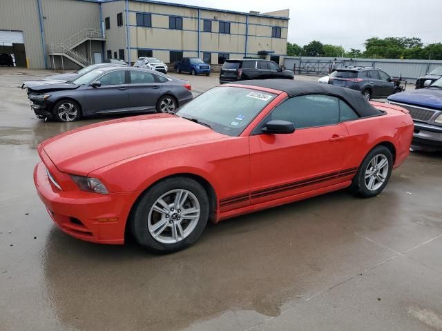 2013 Ford Mustang