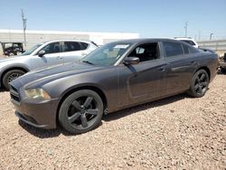 Dodge salvage cars for sale: 2013 Dodge Charger SXT