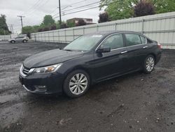 Honda Accord EXL salvage cars for sale: 2013 Honda Accord EXL