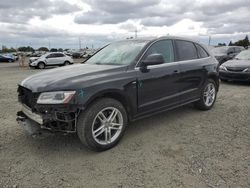 Salvage cars for sale at Eugene, OR auction: 2013 Audi Q5 Premium Plus
