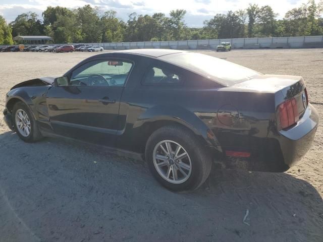 2005 Ford Mustang