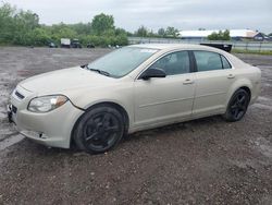 Carros salvage sin ofertas aún a la venta en subasta: 2010 Chevrolet Malibu LS