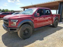 Flood-damaged cars for sale at auction: 2017 Ford F150 Raptor