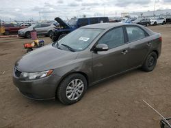 Salvage cars for sale at Brighton, CO auction: 2010 KIA Forte EX