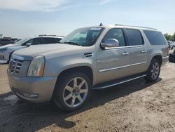 Salvage cars for sale at Houston, TX auction: 2007 Cadillac Escalade ESV