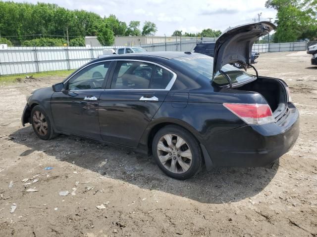 2010 Honda Accord EXL