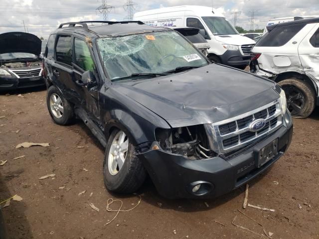 2009 Ford Escape XLT