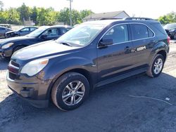 Salvage cars for sale at York Haven, PA auction: 2013 Chevrolet Equinox LT