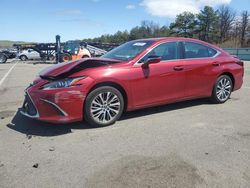Salvage cars for sale at Brookhaven, NY auction: 2020 Lexus ES 350