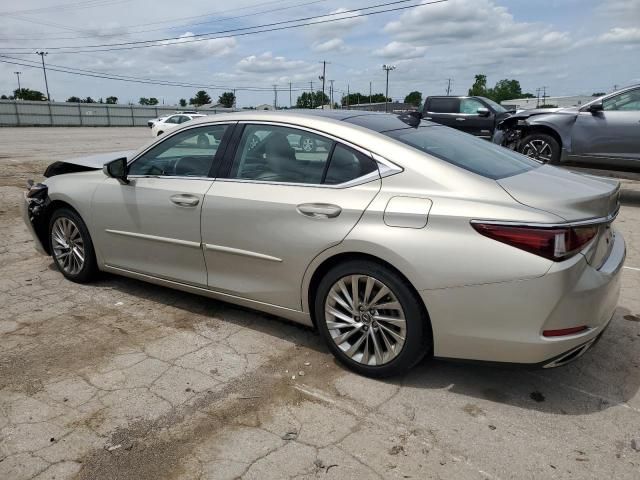 2019 Lexus ES 350