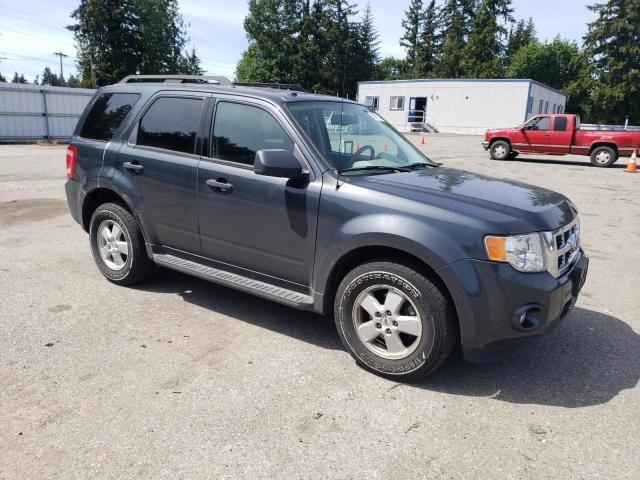 2009 Ford Escape XLT