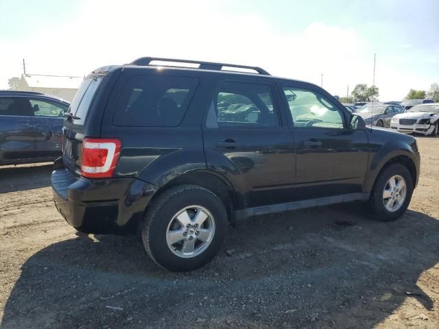 2009 Ford Escape XLT